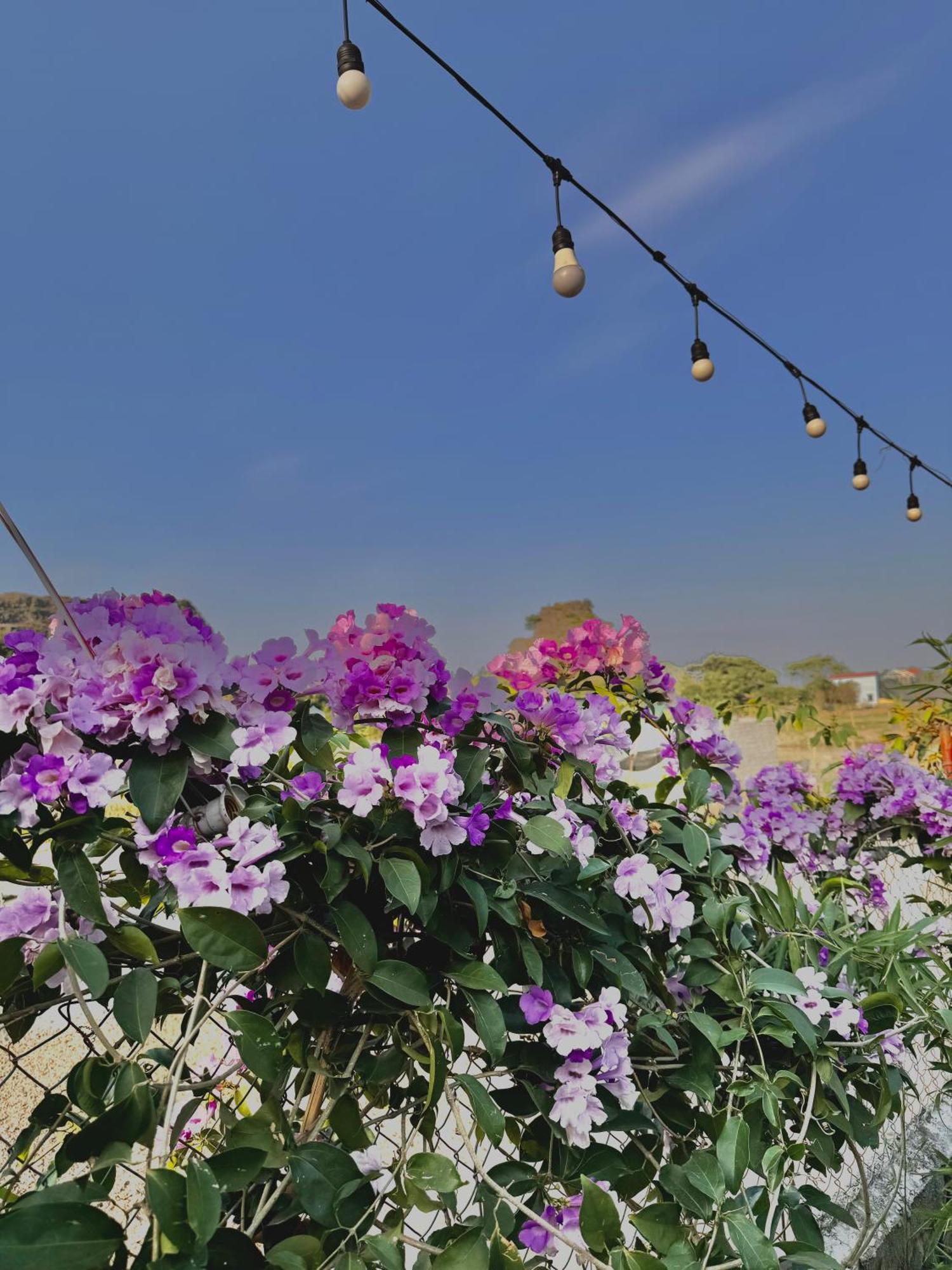 Rosa Garden Hotel Нин Бин Екстериор снимка